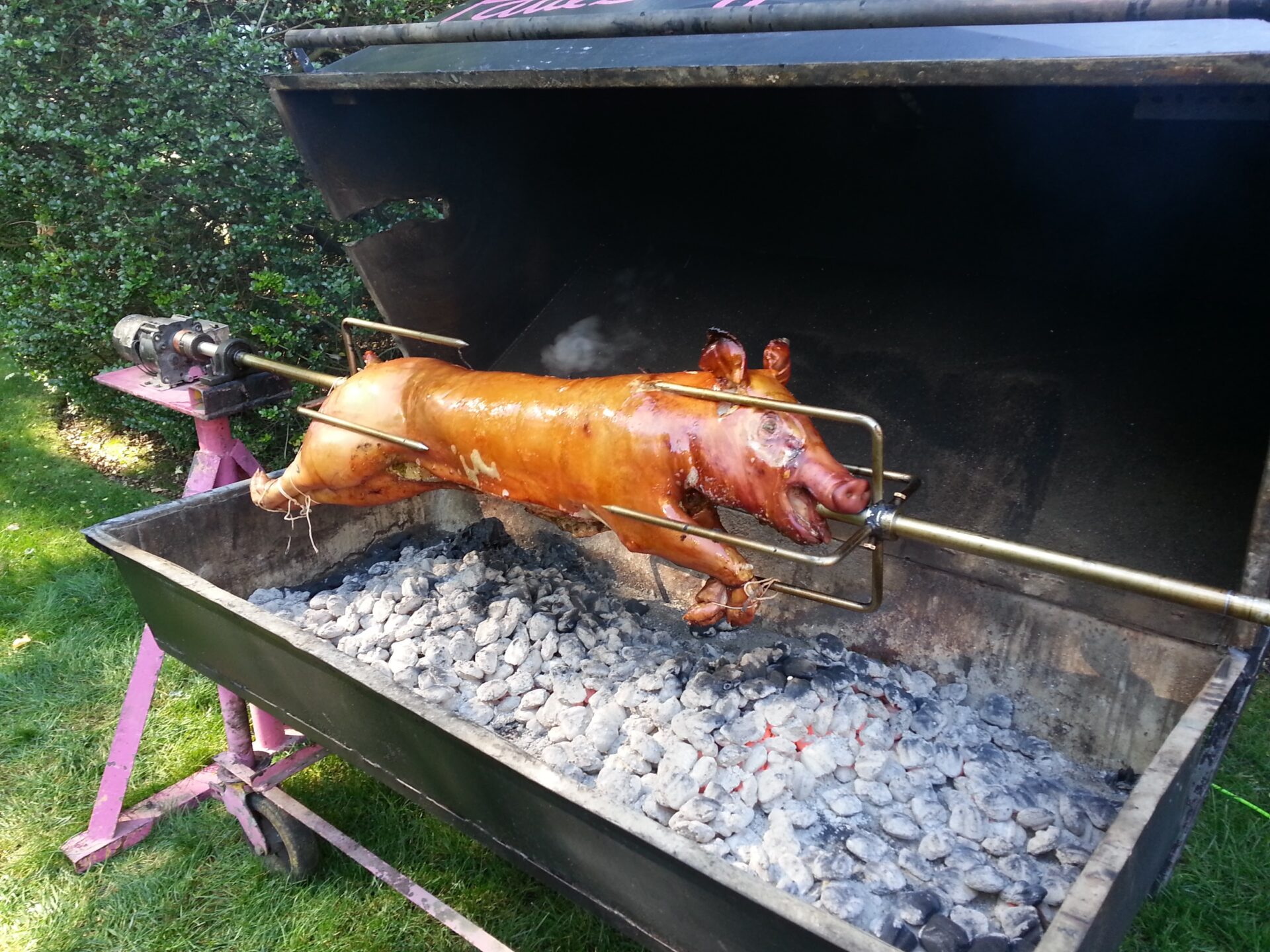 A pig is being cooked on the grill.